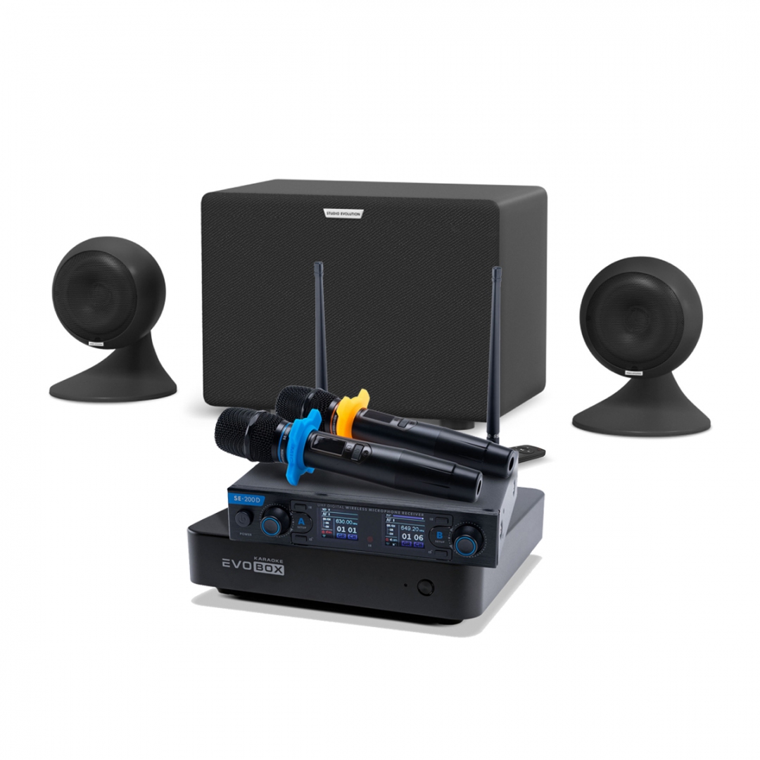 караоке-комплект EVOBOX + EvoSound Sphere 2.1 в Юрюзани