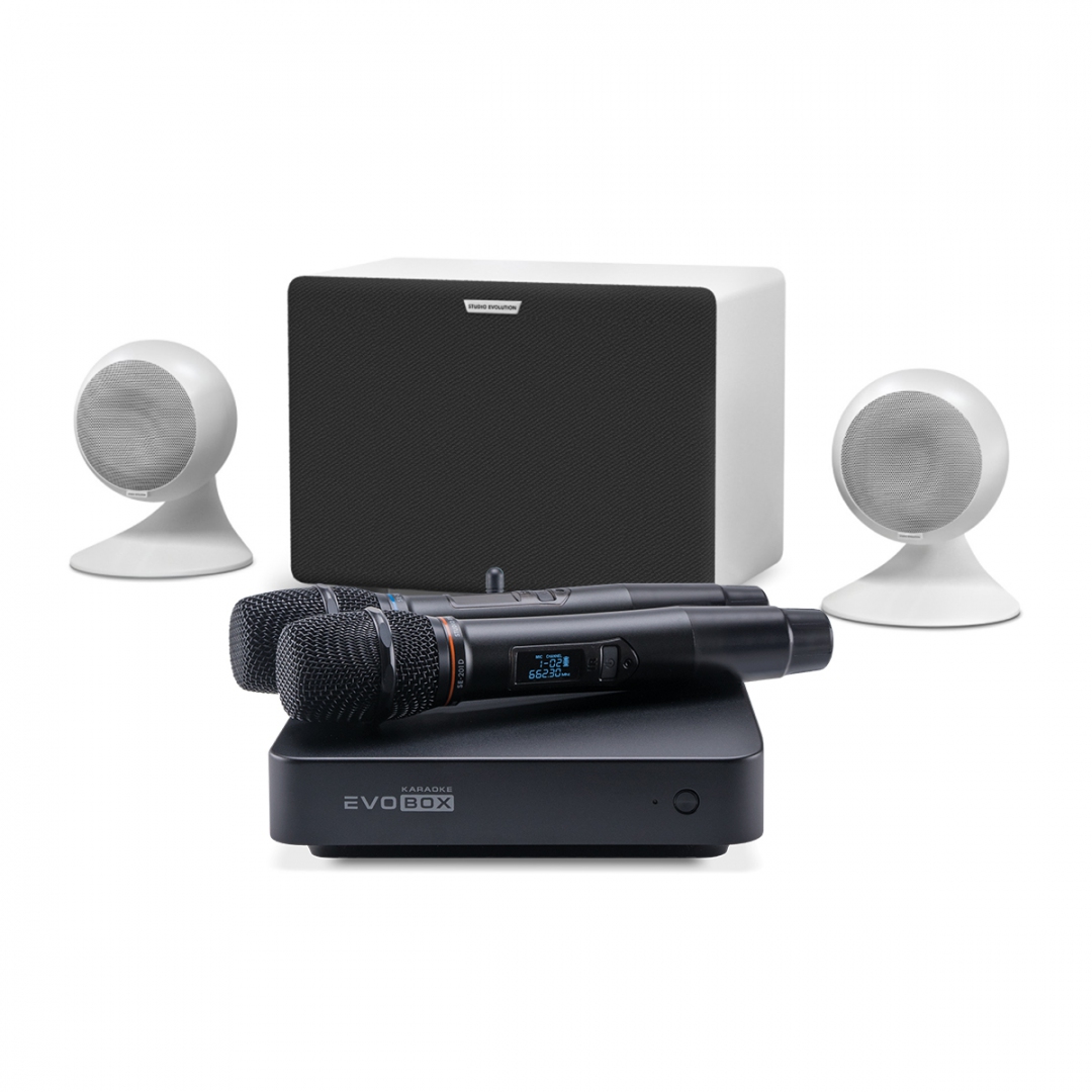 караоке-комплект EVOBOX Classic + EvoSound Sphere 2.1 в Юрюзани