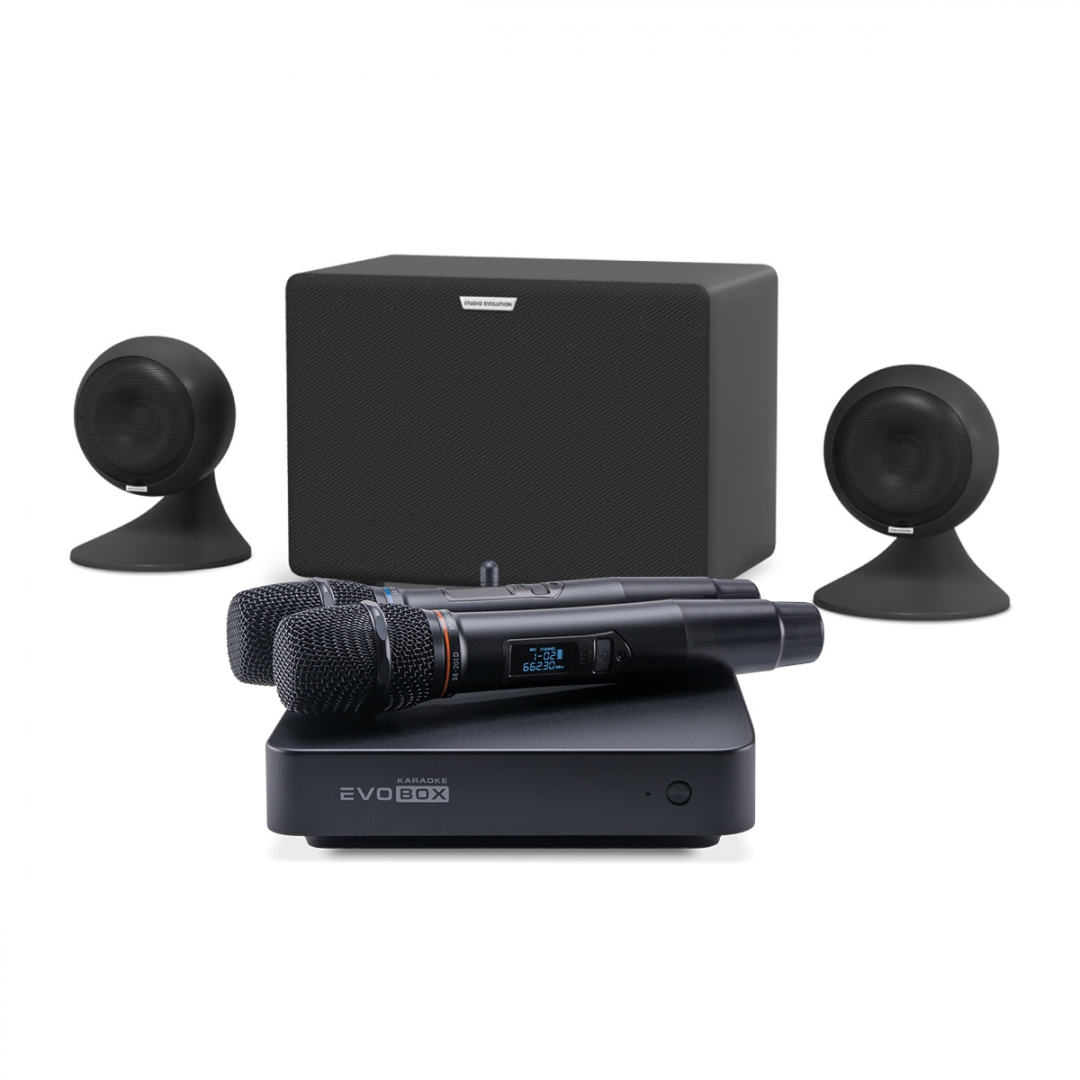 караоке-комплект EVOBOX Plus + EvoSound Sphere 2.1 в Юрюзани