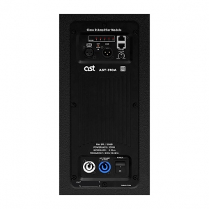 Активная акустическая система AST-310A в Юрюзани