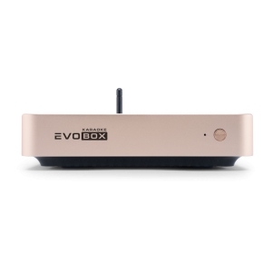 EVOBOX Classic караоке-система для дома в Юрюзани