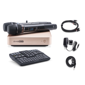 EVOBOX Classic караоке-система для дома в Юрюзани