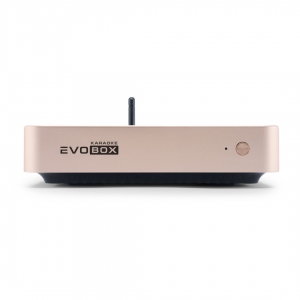 EVOBOX Plus караоке-система для дома в Юрюзани
