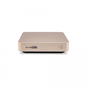EVOBOX с микрофонами в Юрюзани
