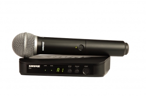 SHURE BLX24E/PG58 M17 вокальная радиосистема в Юрюзани